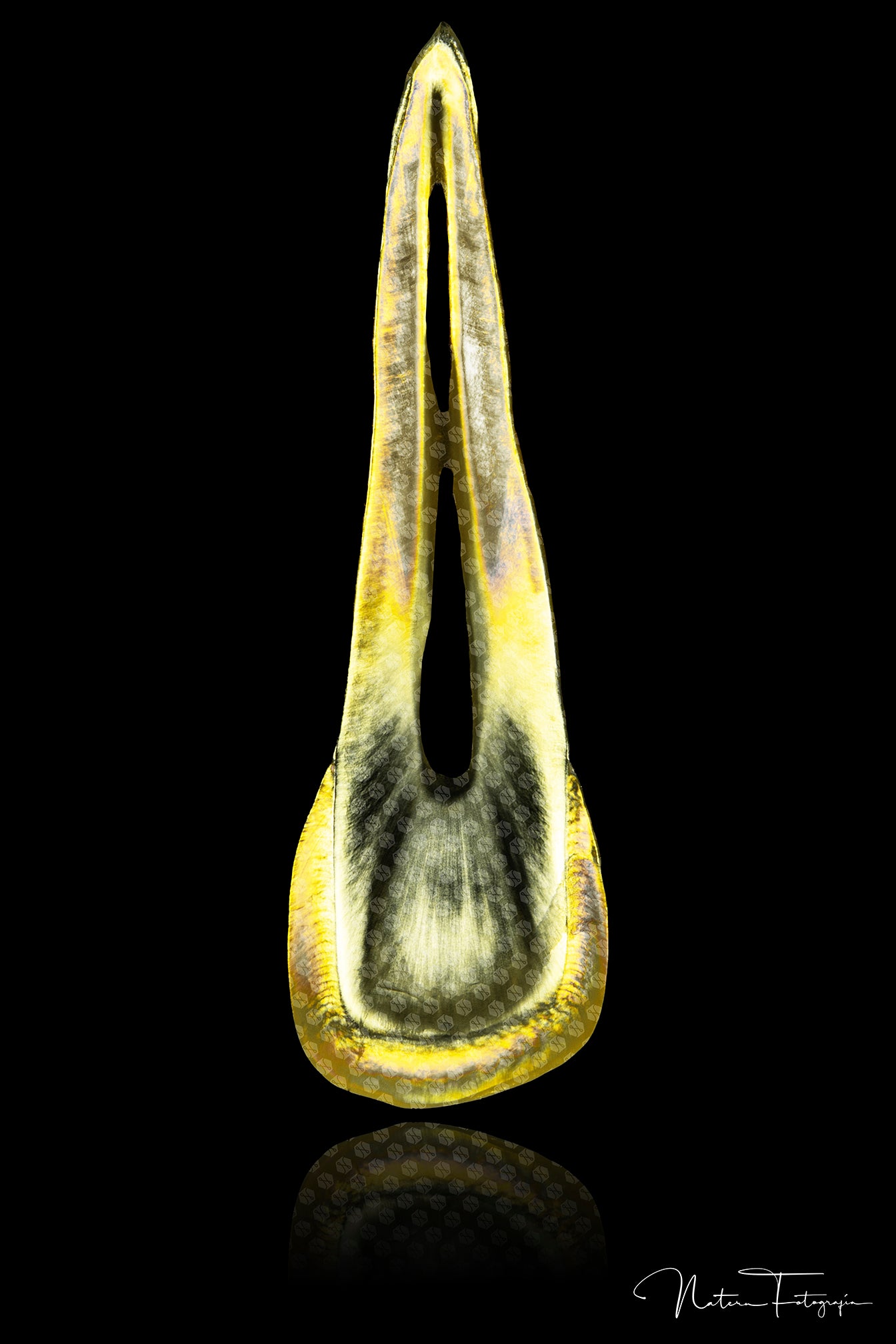 Lateral Amarillo 1