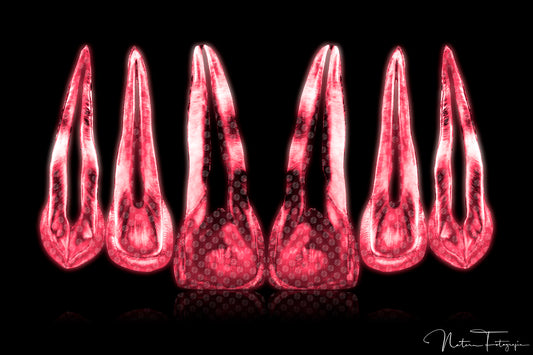 Composición de dientes rojos